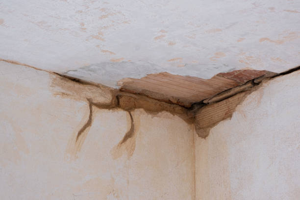 Best Basement water damage restoration  in Lansdale, PA