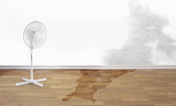 Best Residential water damage restoration  in Lansdale, PA