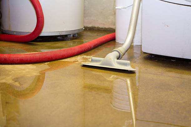 Best Fire Damage Restoration  in Lansdale, PA