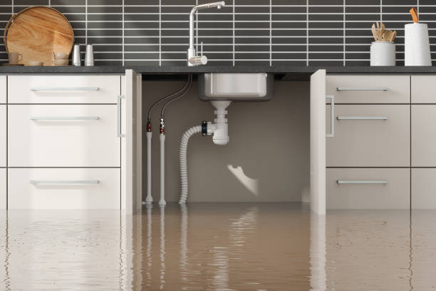 Best Flooded house restoration  in Lansdale, PA