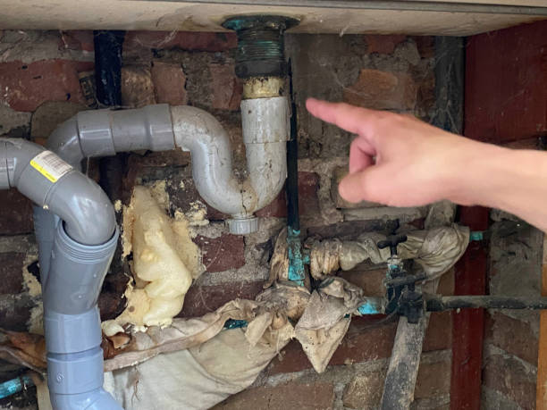 Best Carpet water damage restoration  in Lansdale, PA