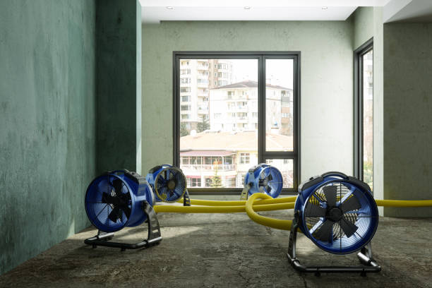 Best Water damage restoration insurance claims  in Lansdale, PA